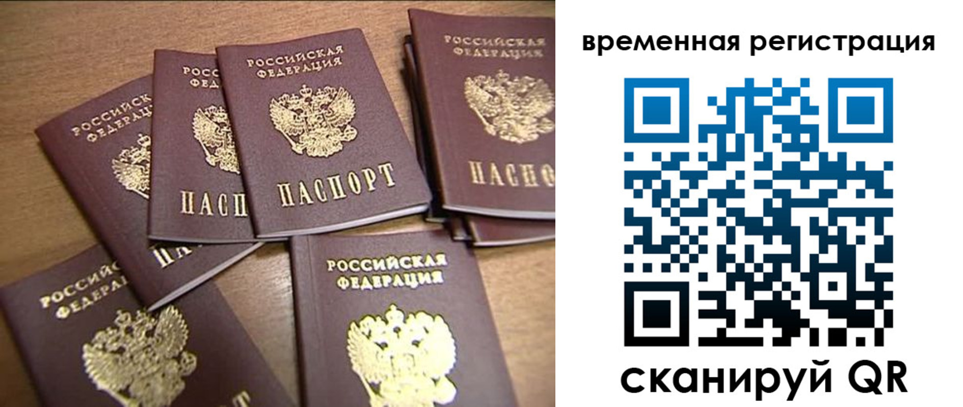 прописка ребенка в Фокино